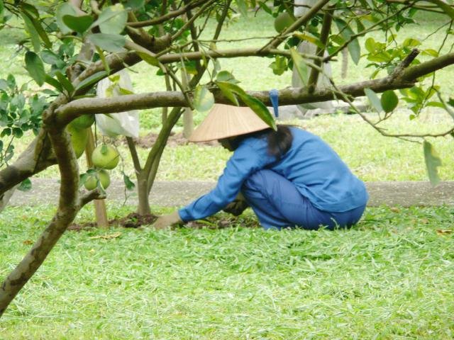 Urlaub in Vietnam 2007